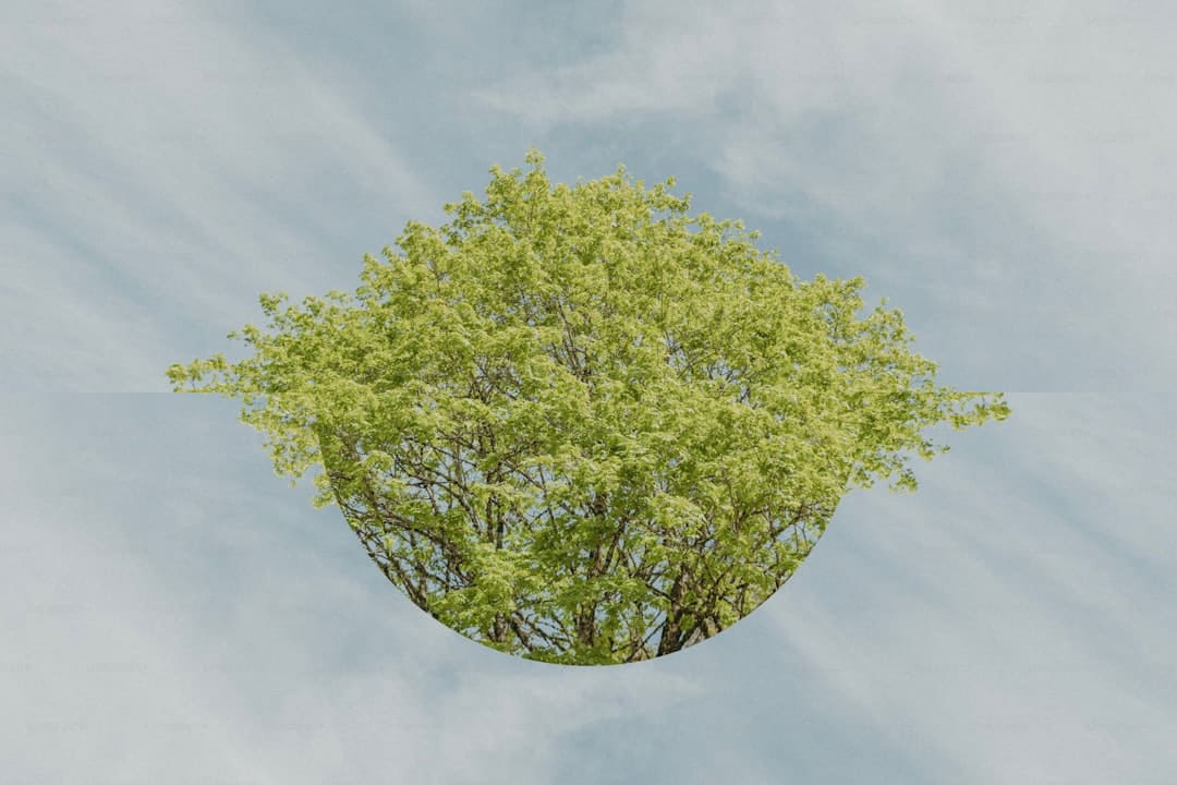 比亚迪许诺:为智能泊车场景下的安全及丢失“全面兜底”